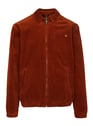 CARHARTT WIP Brandy / Brandy Braun
