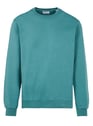 COLORFUL STANDARD Pine Green Grun
