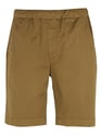 HOMECORE BROWN SUGAR Braun