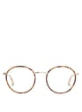 NOOZ LIGHT TORTOISE Braun