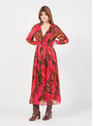 SUNCOO FUCHSIA Rosa