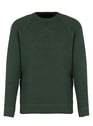 SUPERDRY EAGLE GREEN MARL Grun