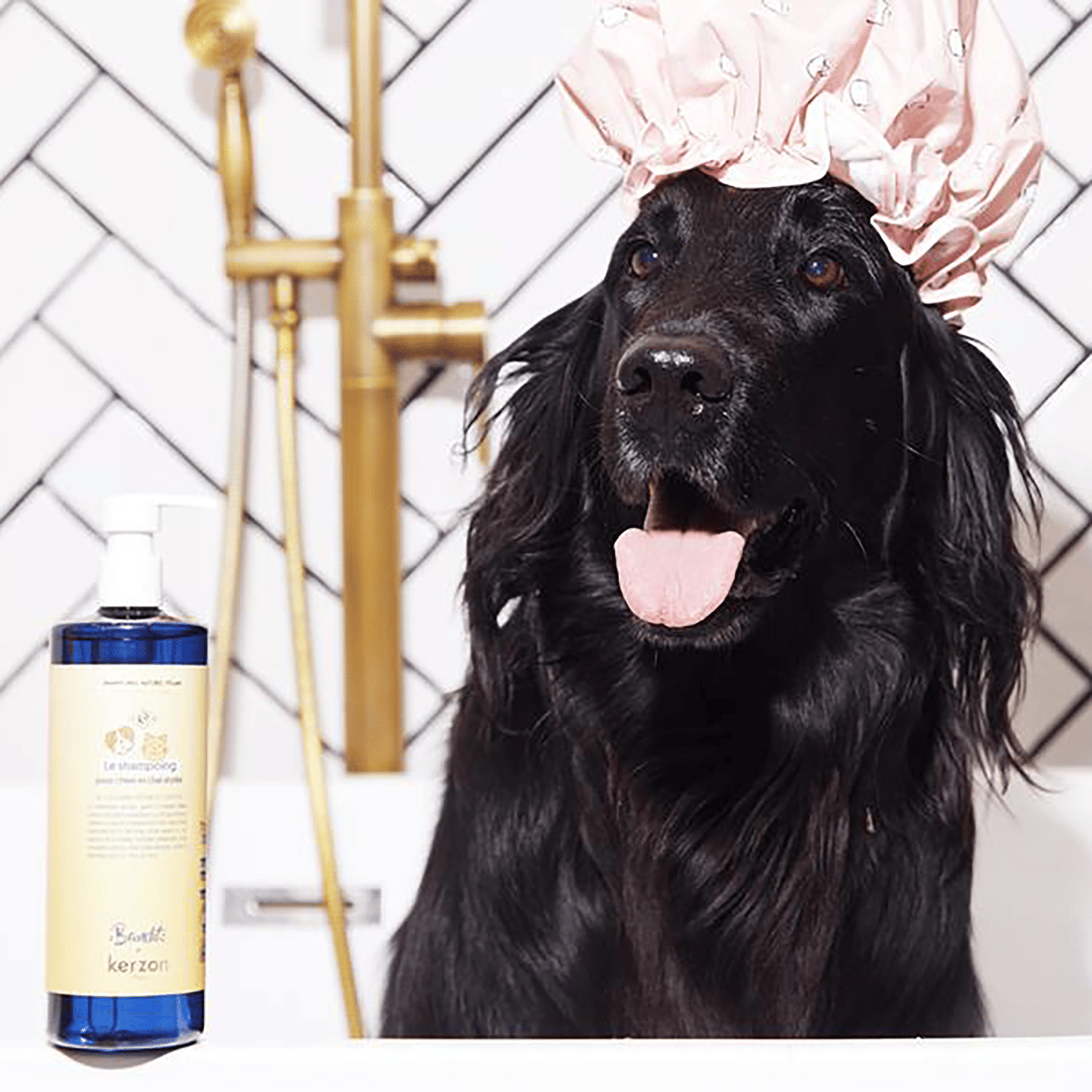 blue dog shampoo