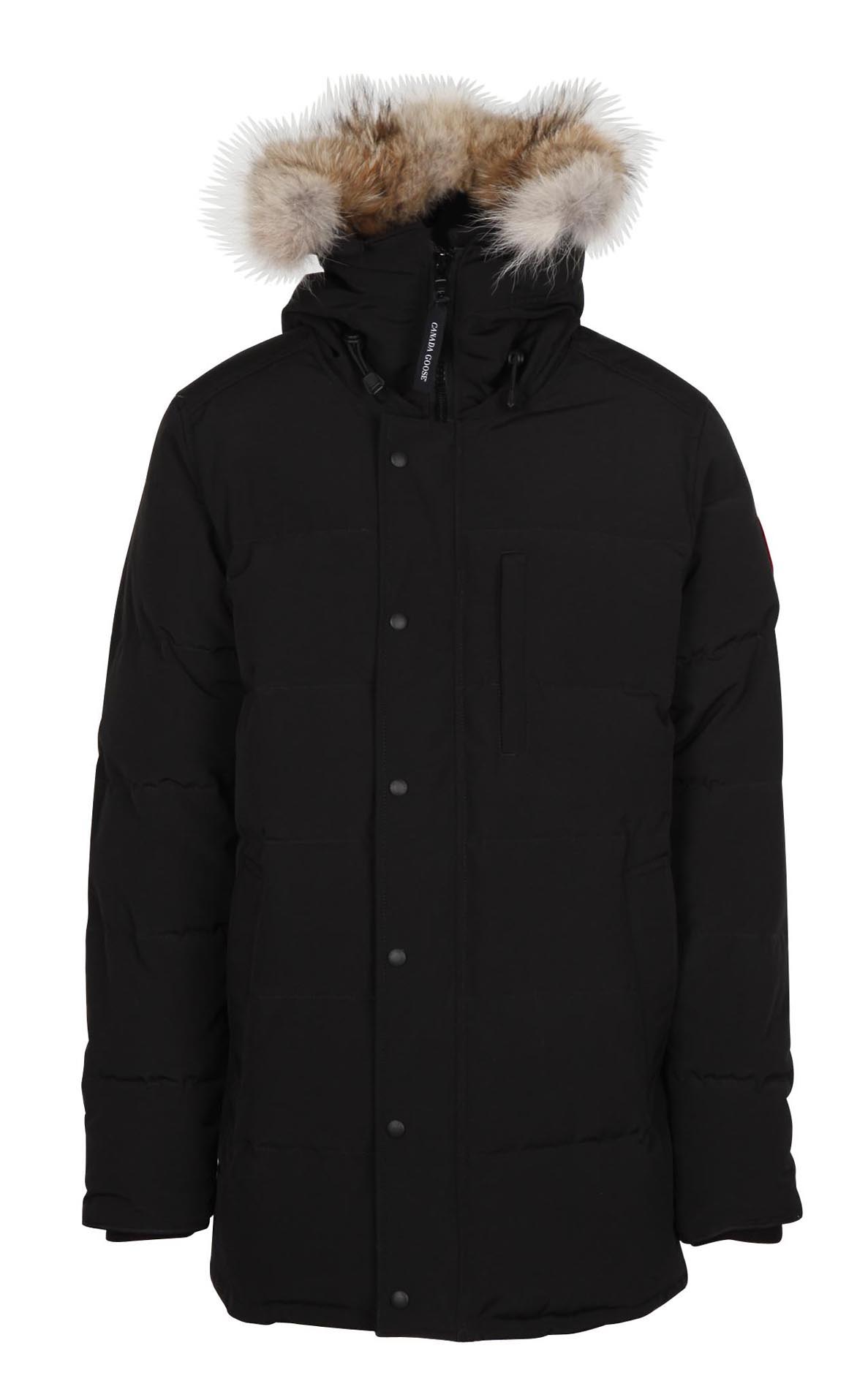 canada goose black fur