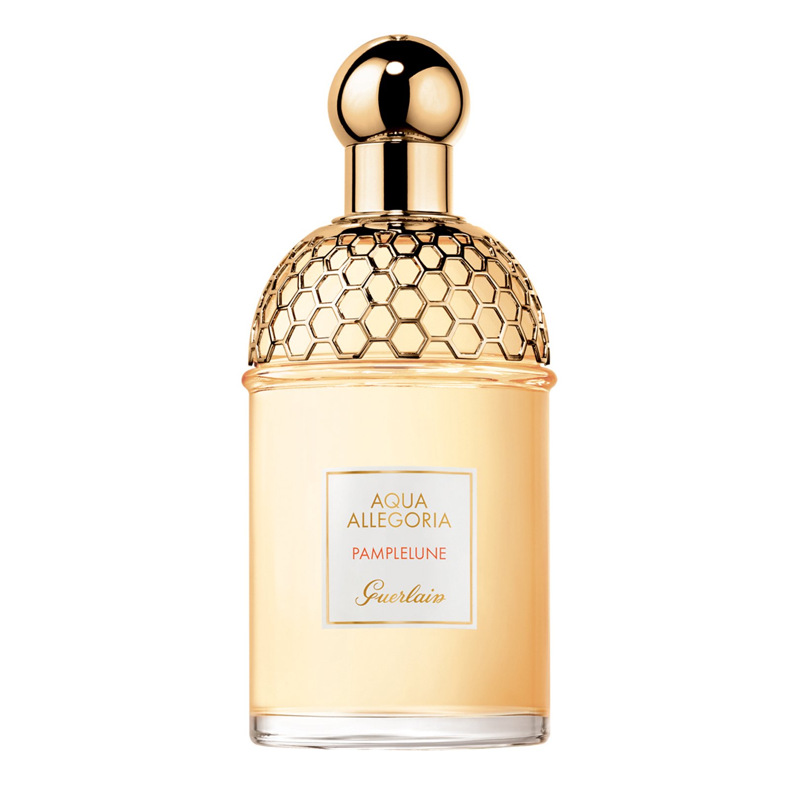 New Autumn Winter 21 22 Collection Aqua Allegoria Pamplelune Guerlain Printemps Beauty Place Des Tendances