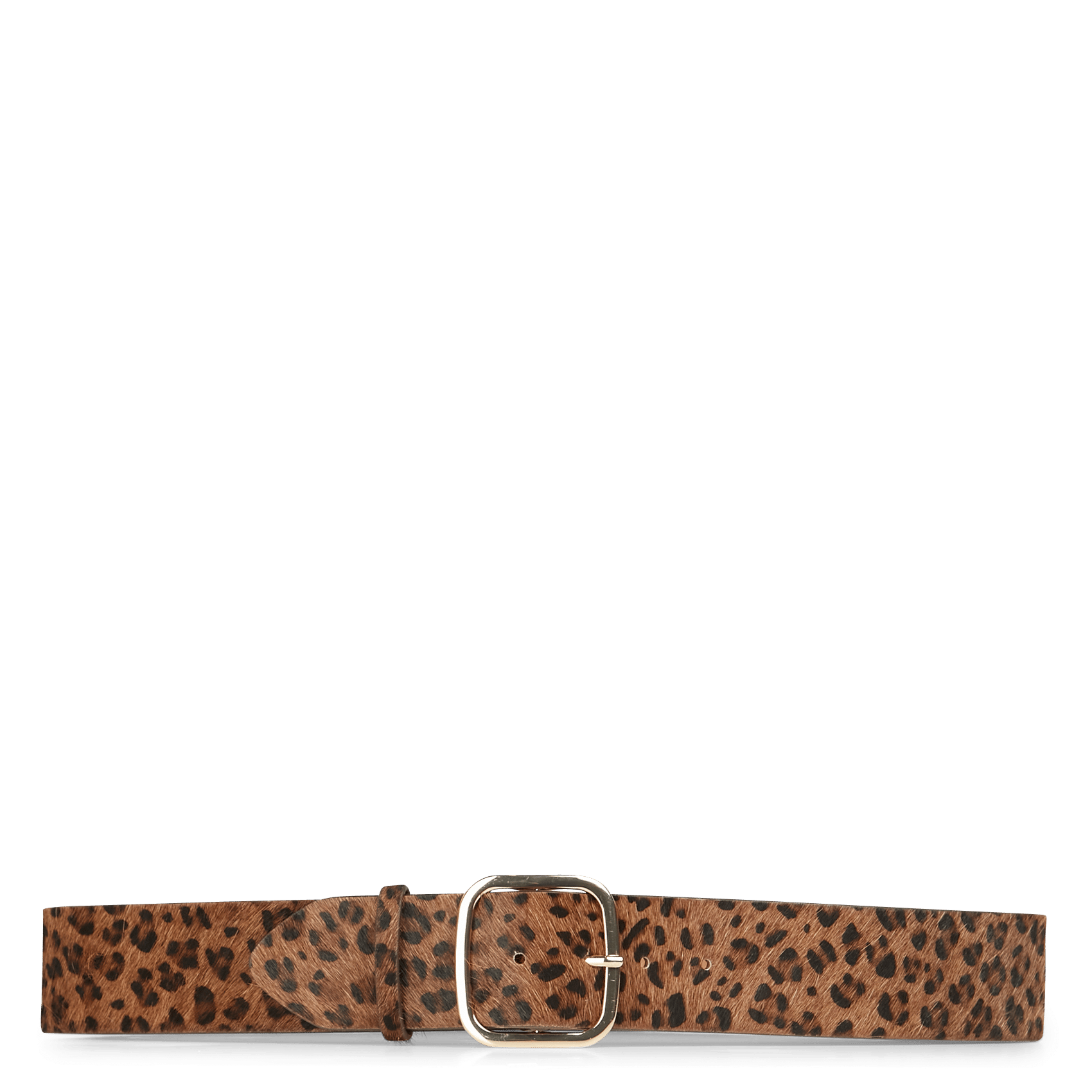 leopard print belts