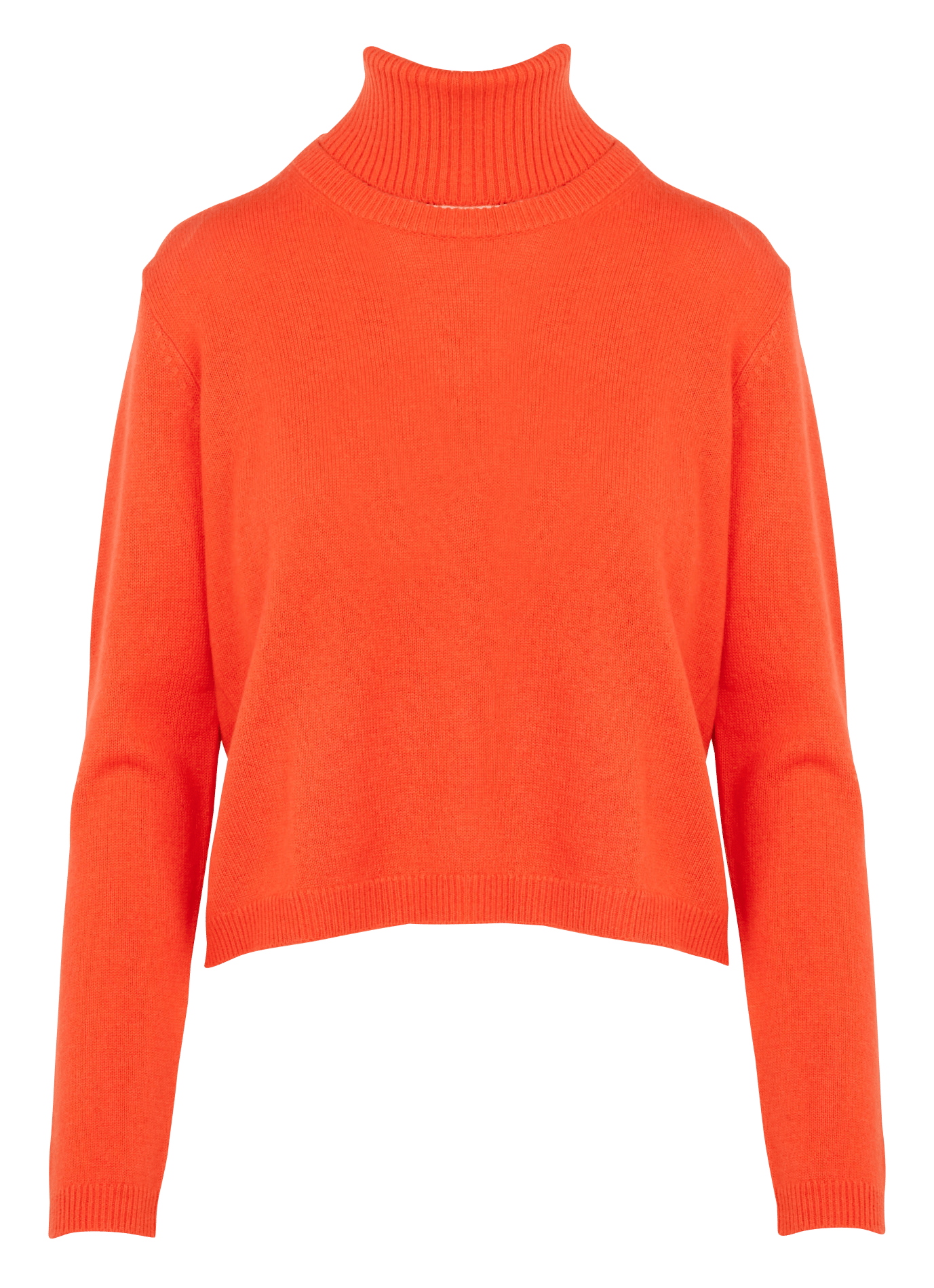 Wool And Cashmere Turtleneck Sweater 