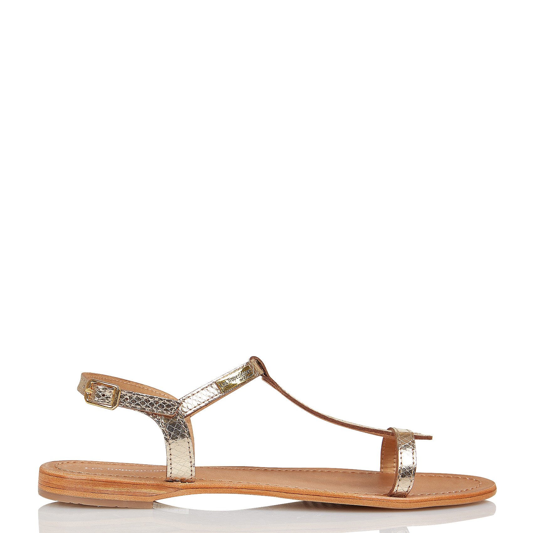 tropeziennes serpent