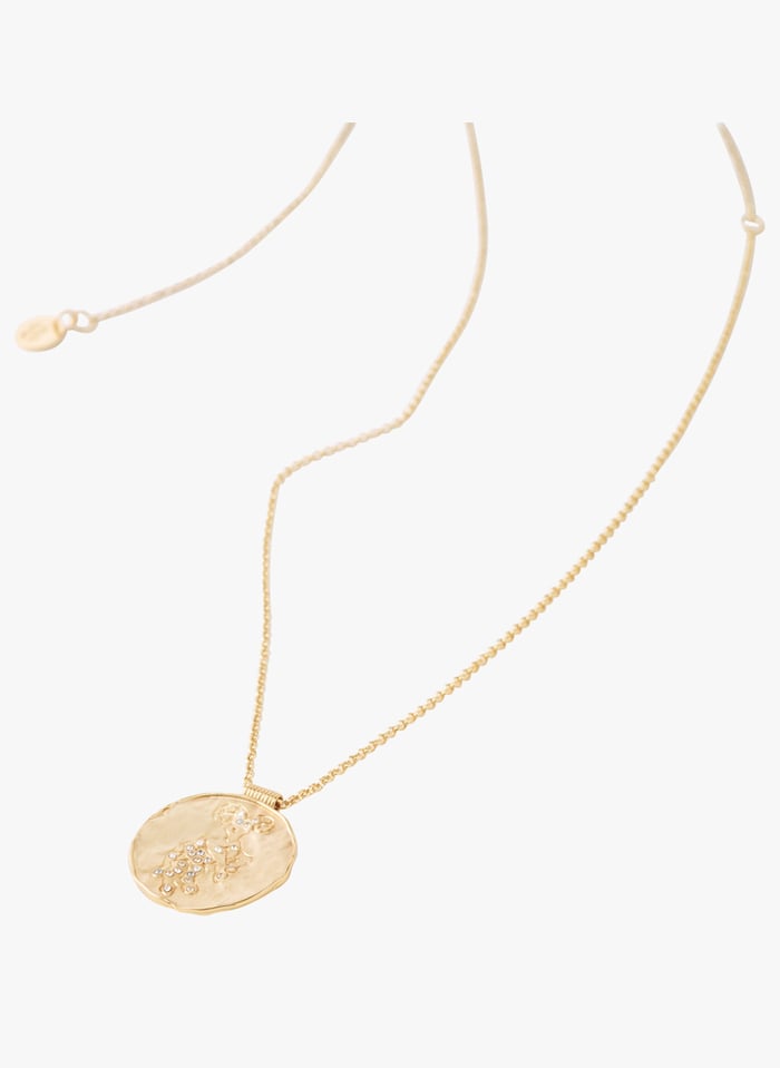 Golden Zodiac sign medallion necklace