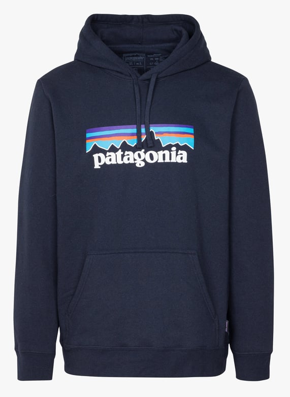 Patagonia hoodie grey shop