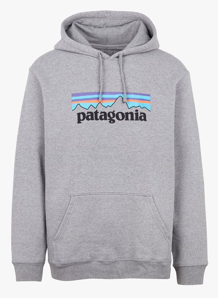 Mens 2025 patagonia hoodie