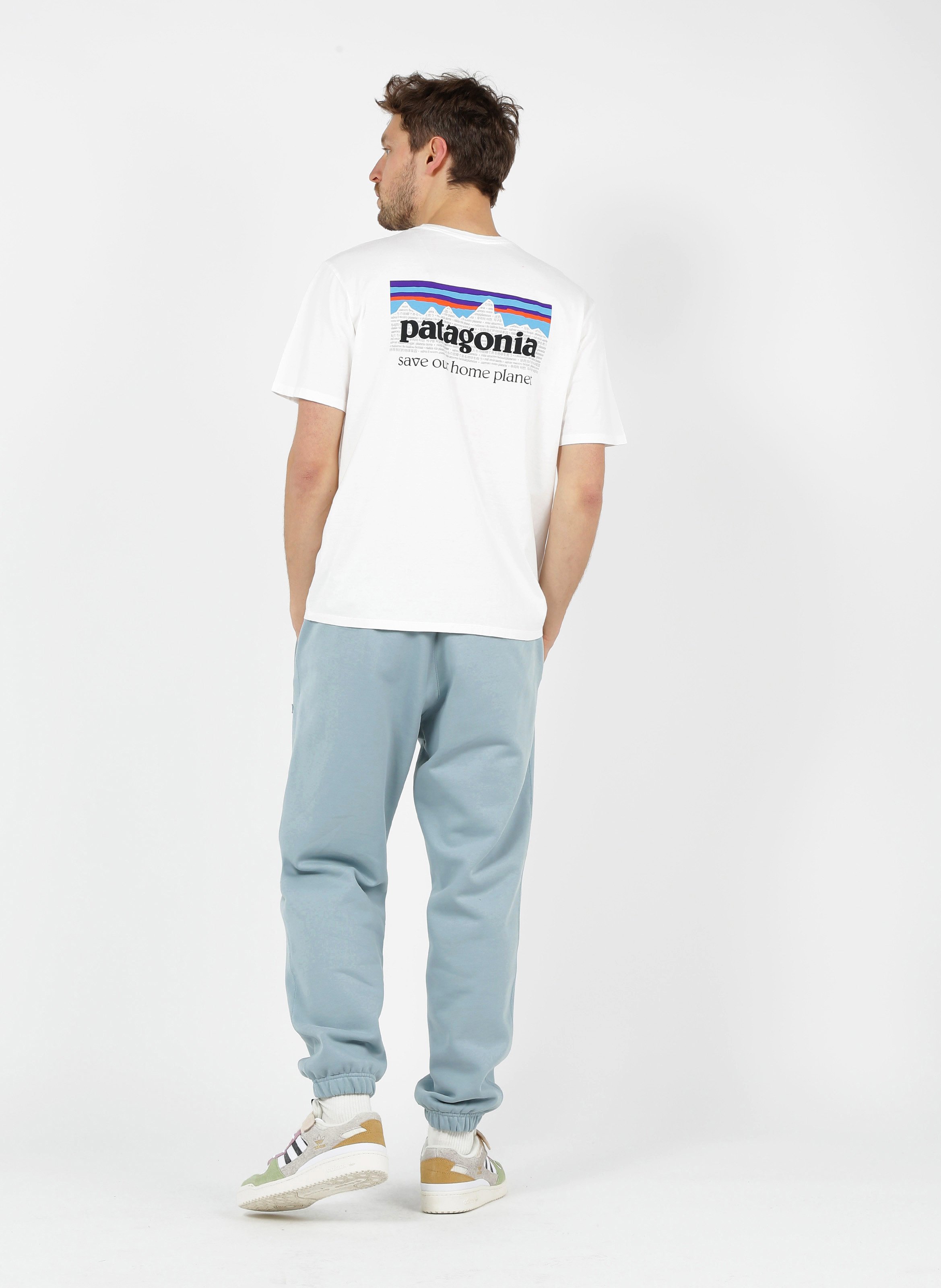 patagonia teal t shirt