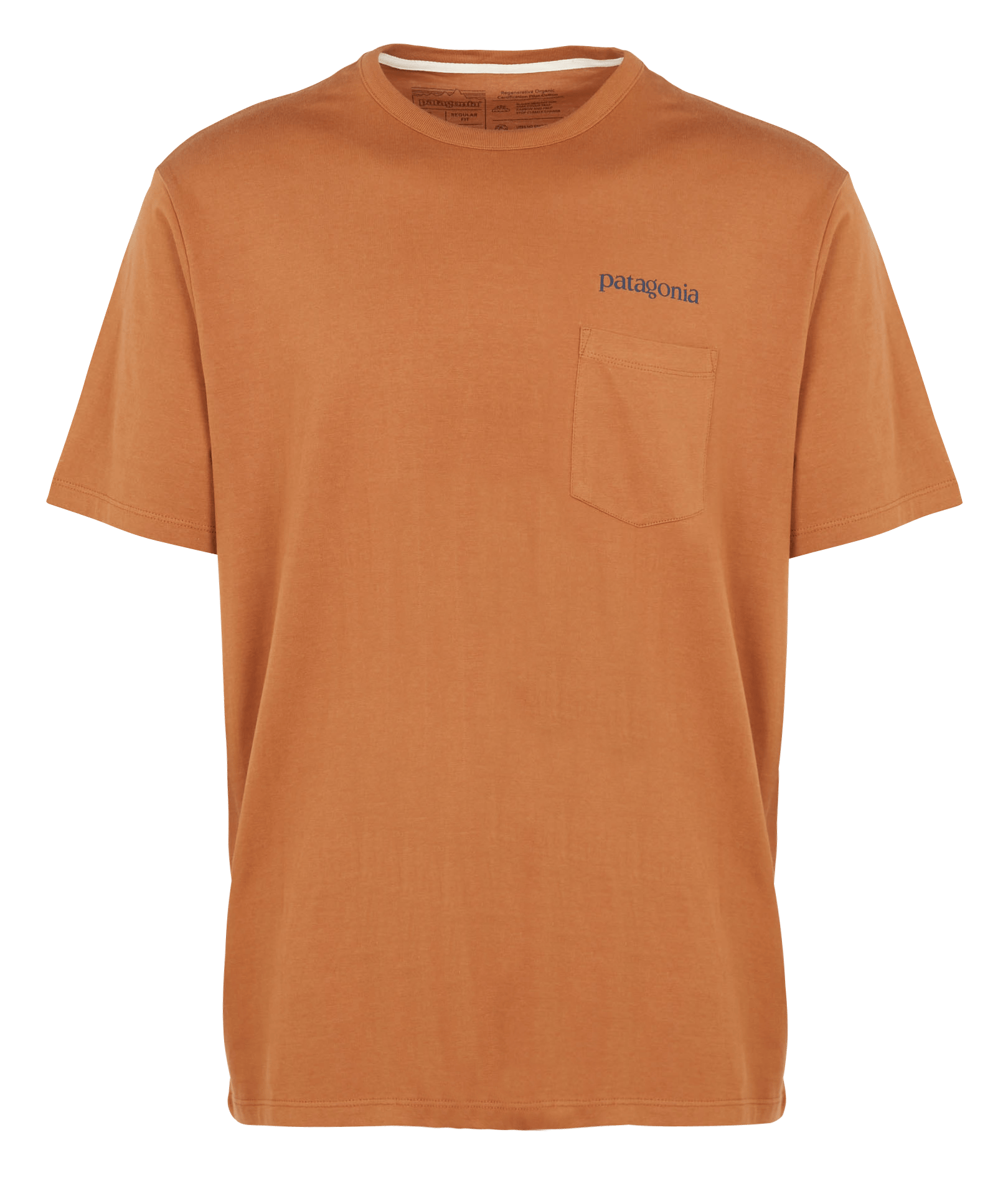 shirt Earthworm Brown Patagonia - Men 