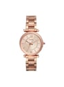 FOSSIL ROSE Rosa