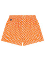 LE SLIP FRANCAIS ENVOLEE Multicolor