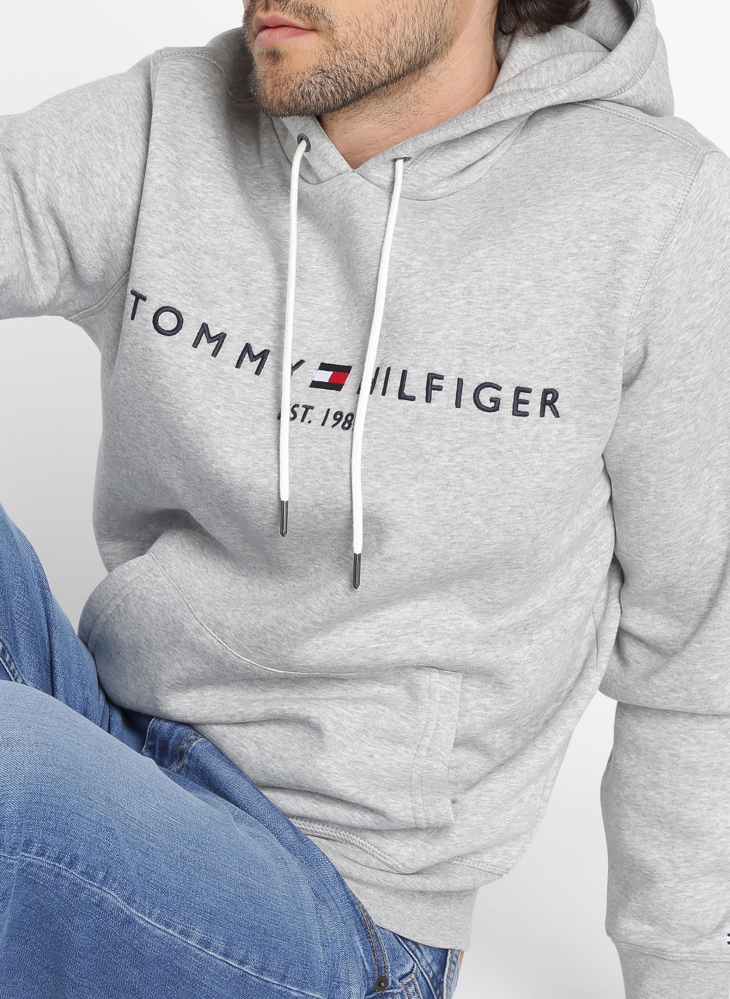 Sudadera Bordada De Felpa Regular Fit Con Capucha Grey Tommy Hilfiger -  Hombre | Place des Tendances
