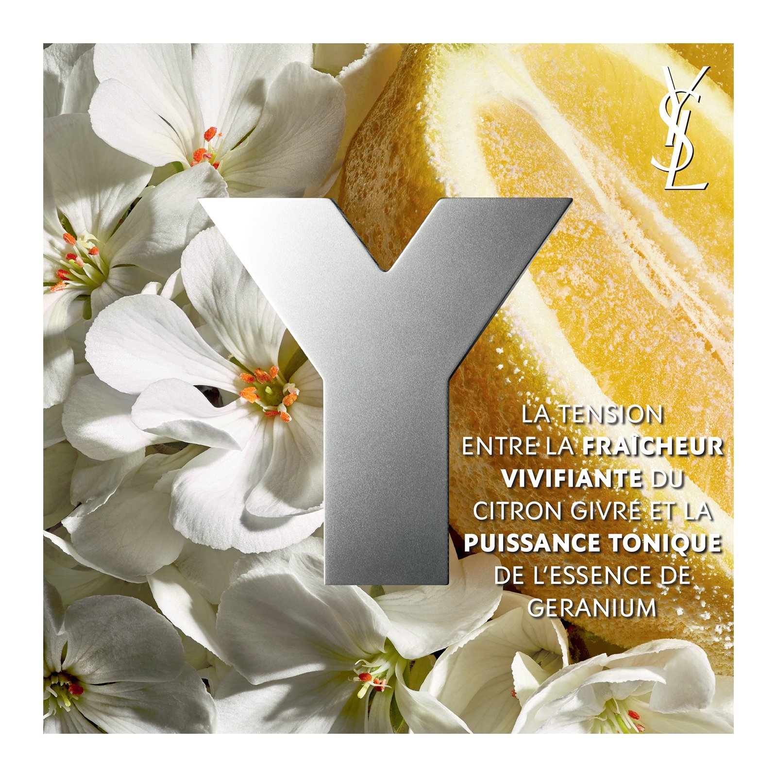 Nueva Coleccion Otono Invierno 21 22 Y Eau Fraiche Eau De Toilette Yves Saint Laurent Printemps Belleza Place Des Tendances