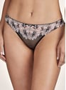 AUBADE VALE Rose