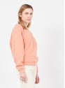 BELLEROSE TANGERINE Rose