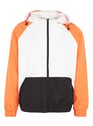 BRUMMELL ORANGE Orange