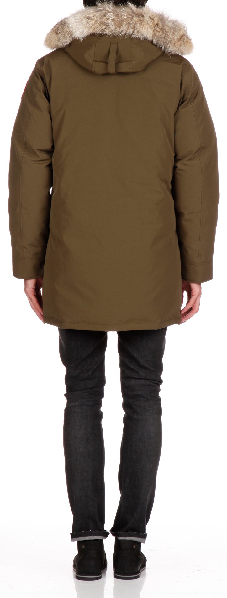 fourrure canada goose