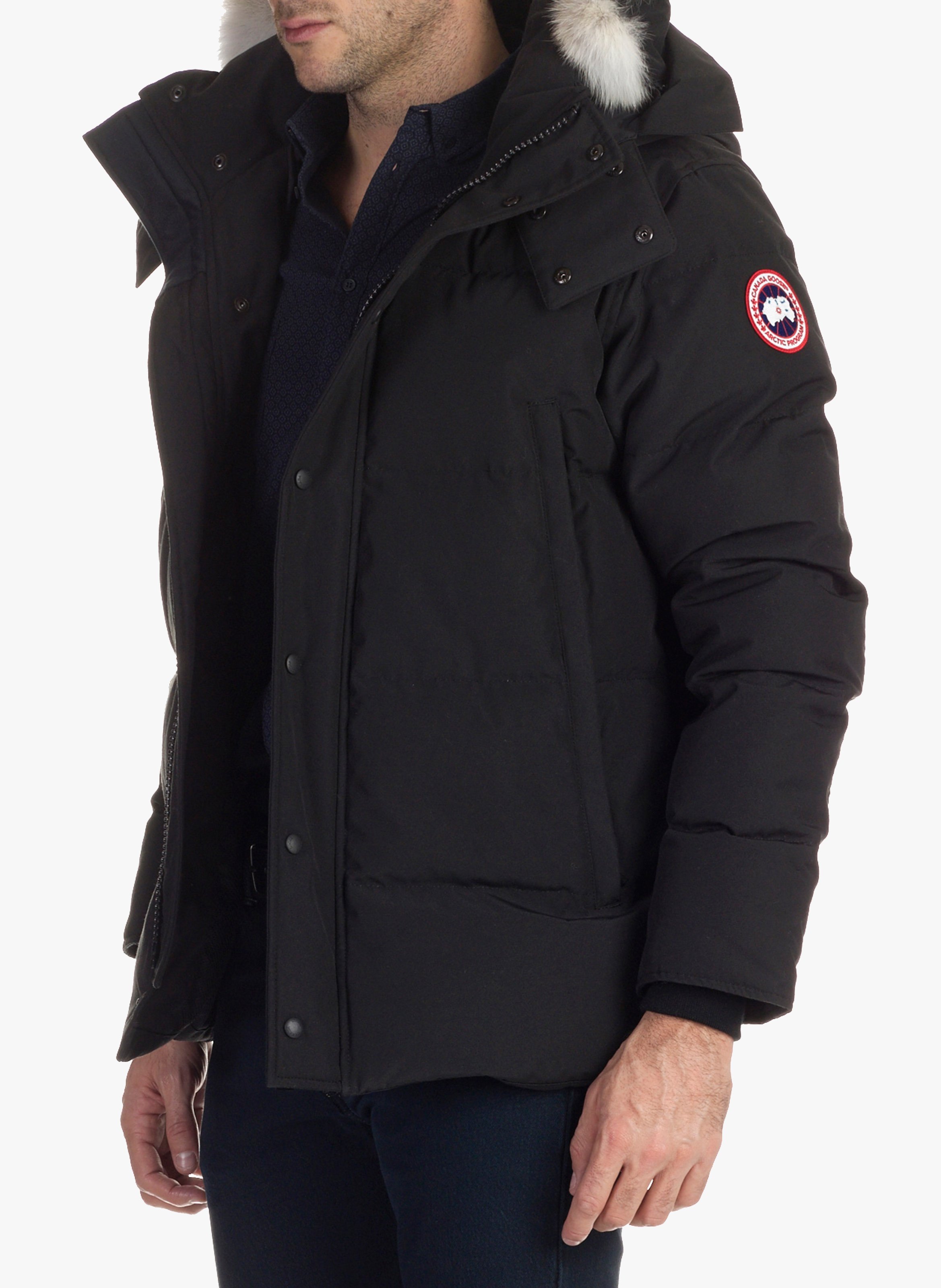fourrure canada goose