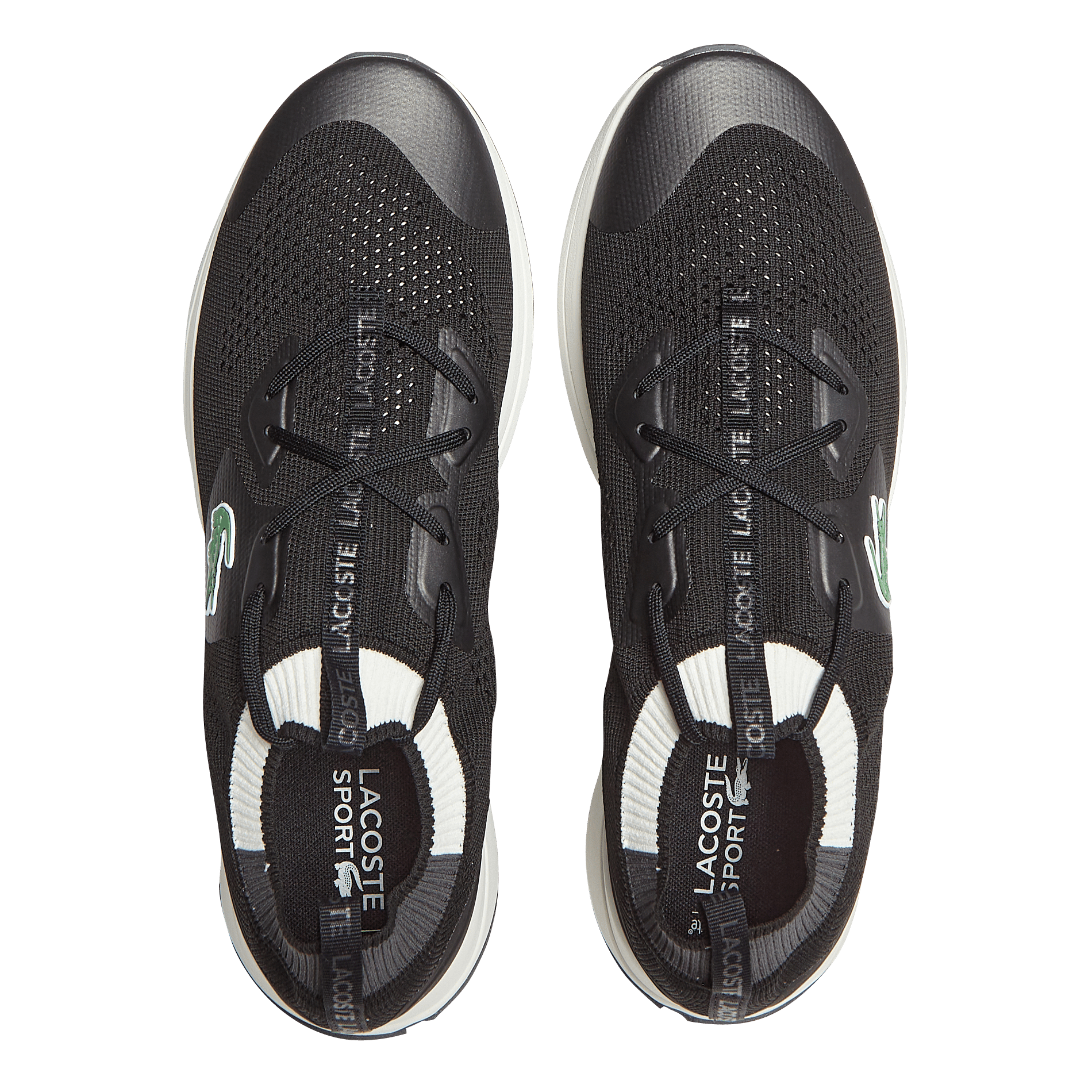 lacoste basket basse