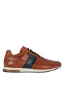 MINELLI COGNAC Marron