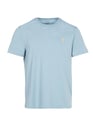 POLO RALPH LAUREN BLUE Bleu