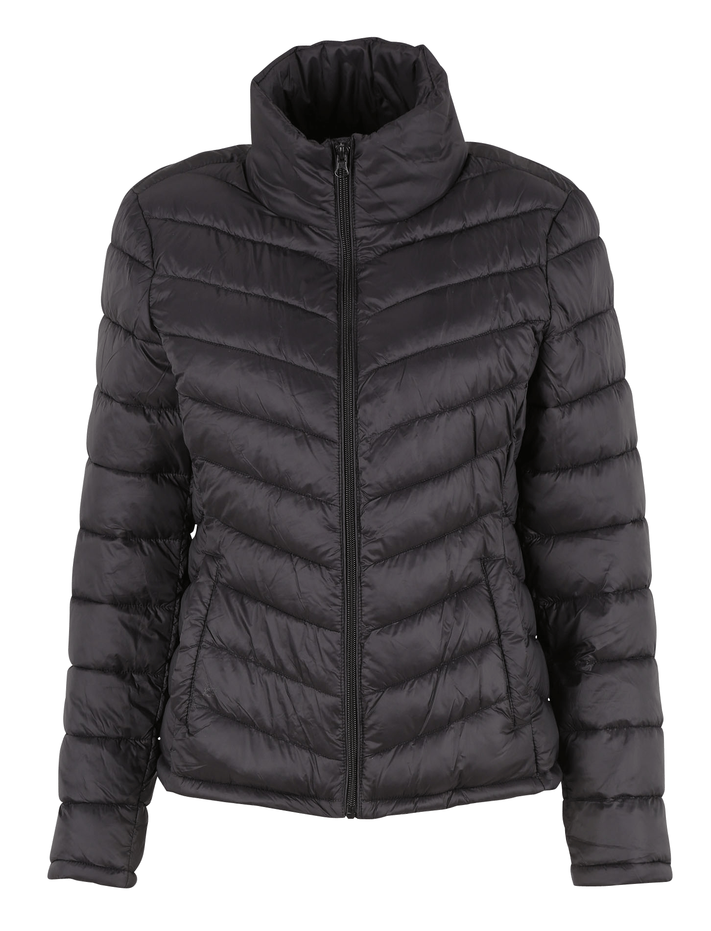 doudoune fine courte