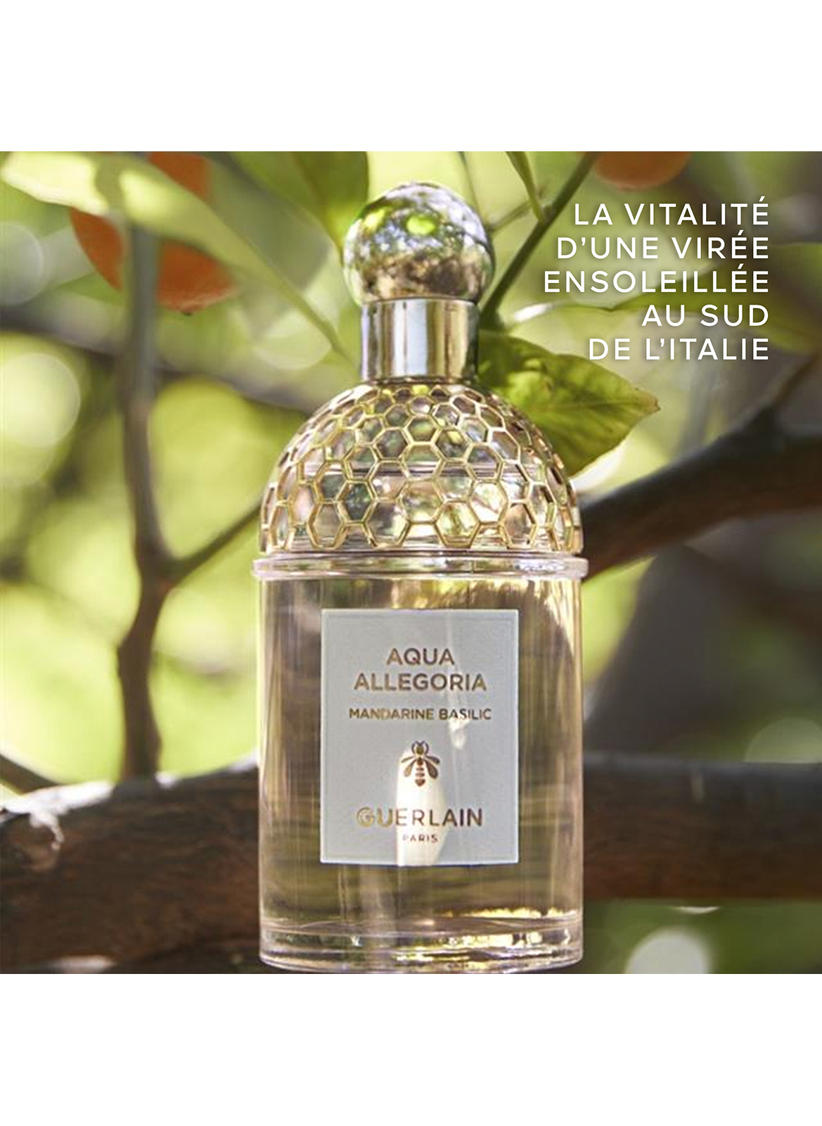 Aqua Allegoria Mandarine Basilic - Eau de Toilette GUERLAIN No color