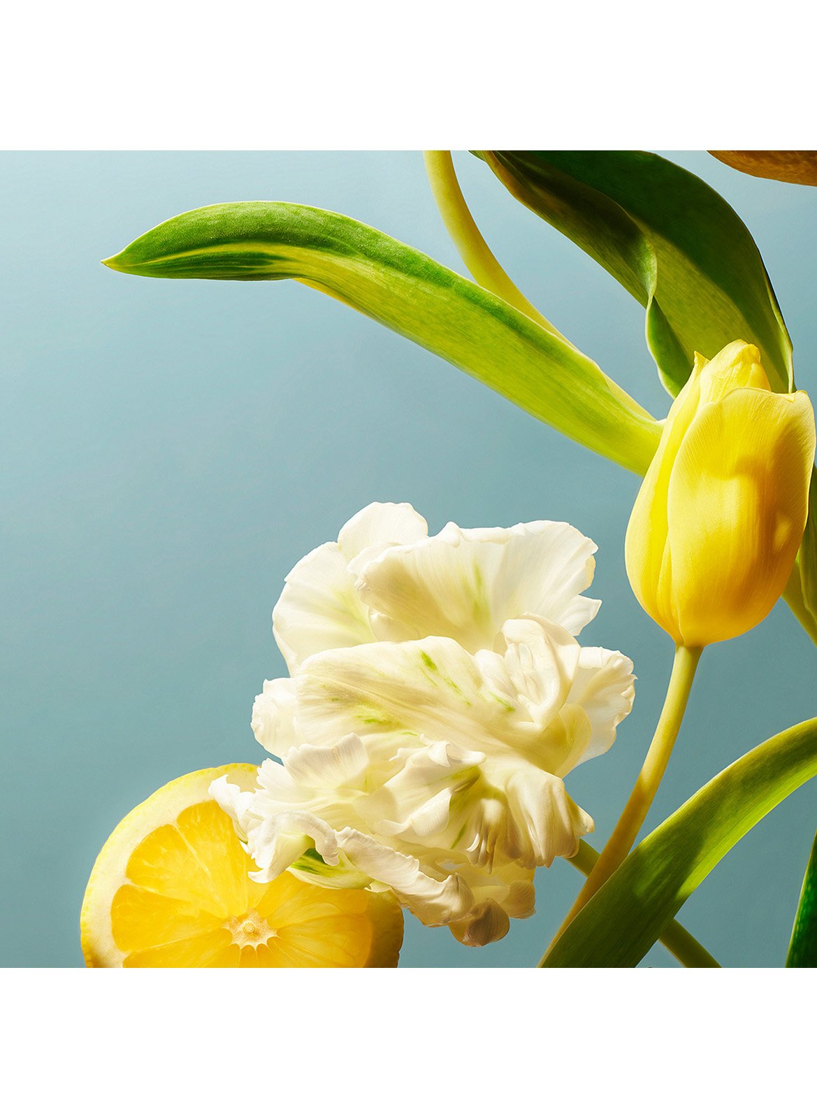 Amsterdam Collection - Brume Parfumée Corps & Cheveux RITUALS No color