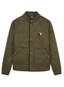 CHEVIGNON KAKI Khaki