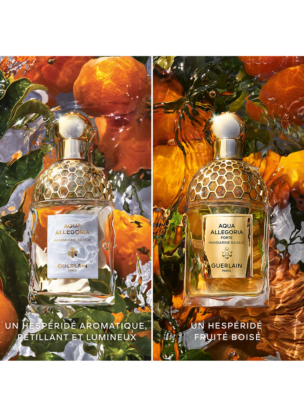 Aqua Allegoria Mandarine Basilic - Eau de Toilette GUERLAIN No color