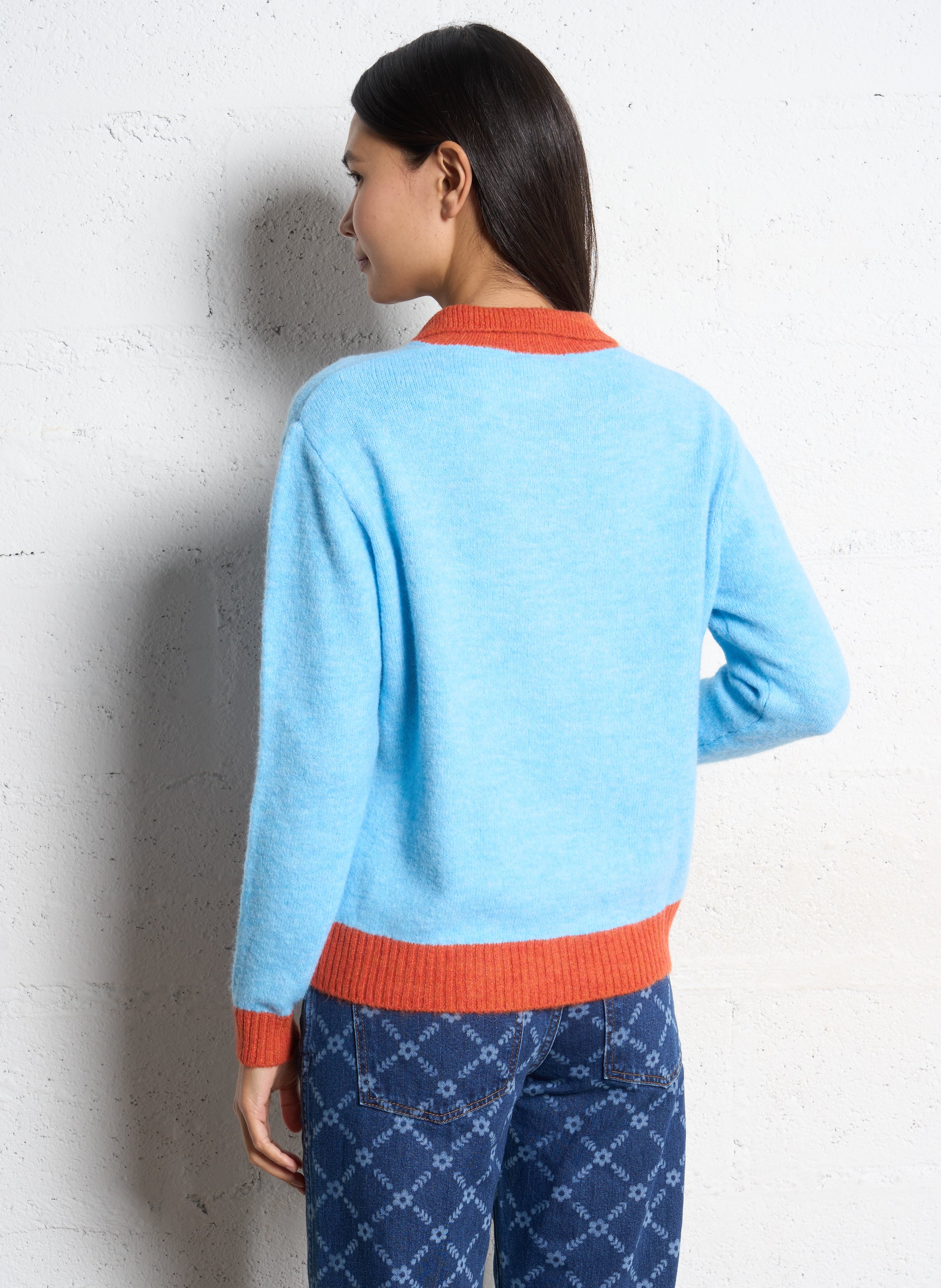 Pull droit col classique  DR BLOOM Bleu