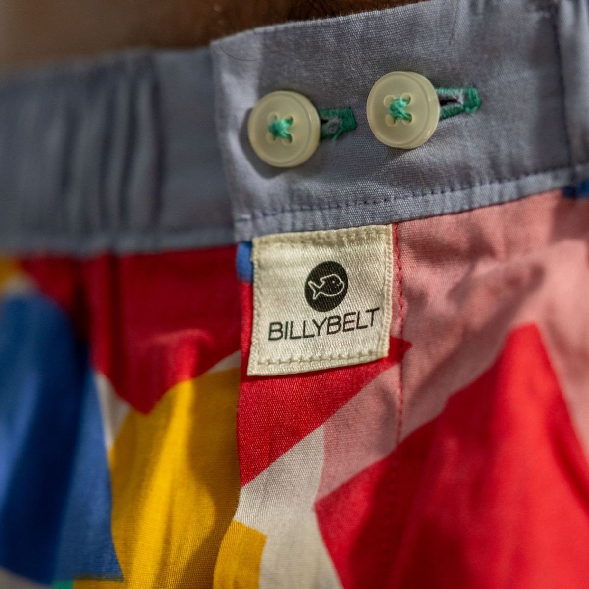 Organic cotton boxer shorts BILLYBELT Multicolored