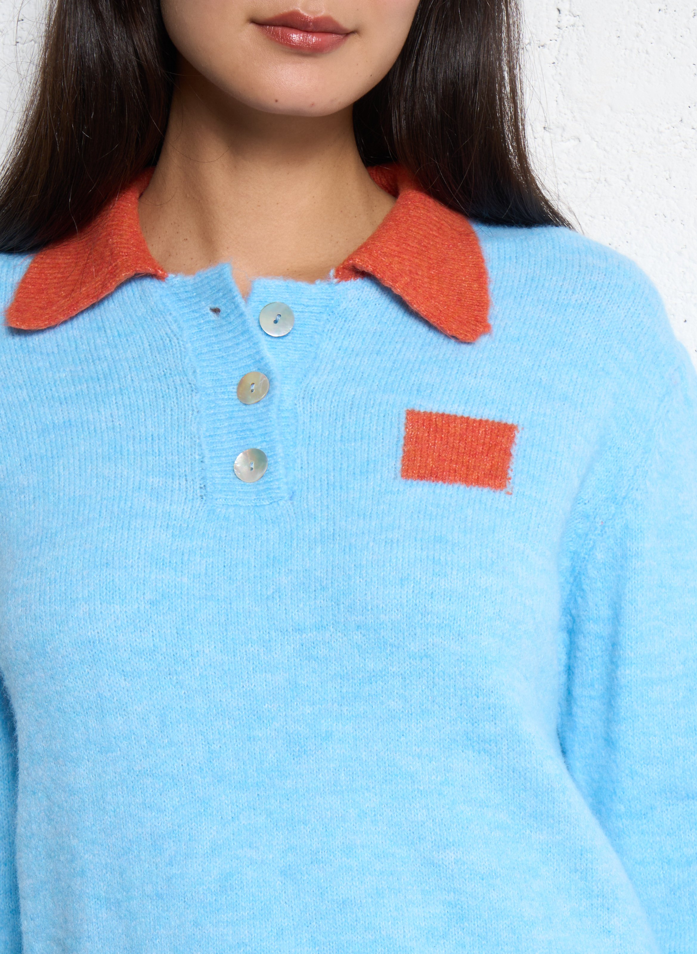 Pull droit col classique  DR BLOOM Bleu