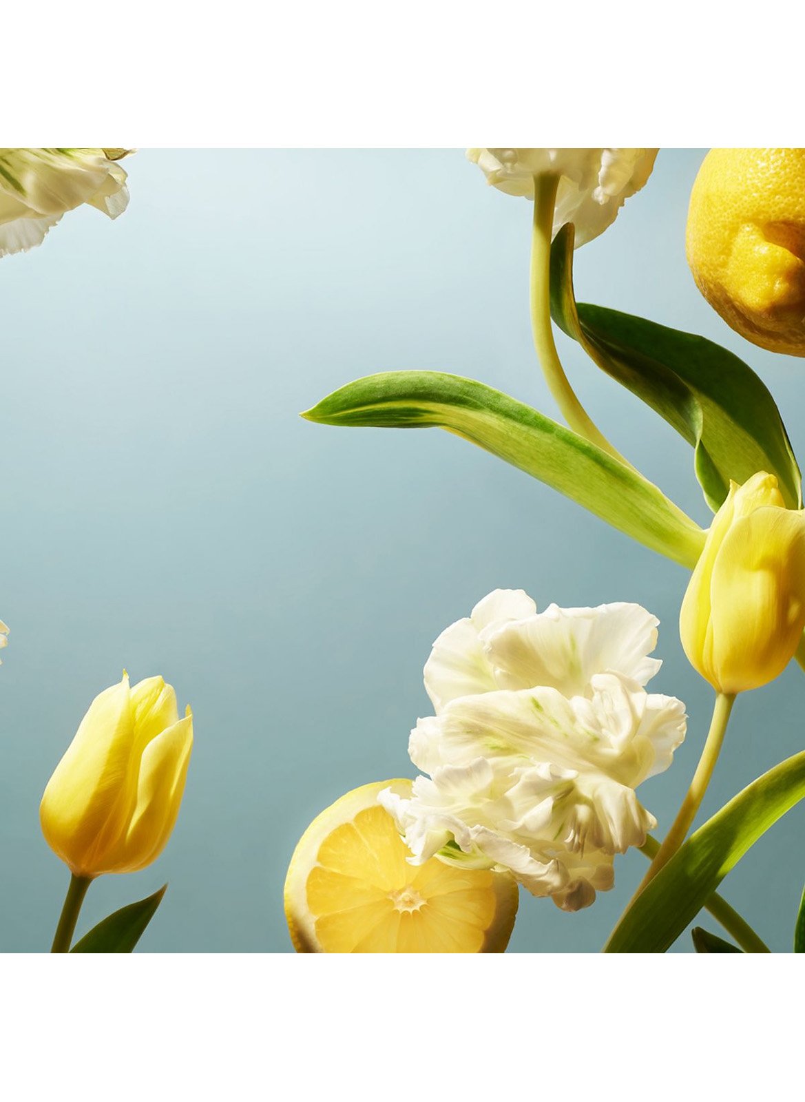 Amsterdam Collection - Bougie Parfumée RITUALS No color