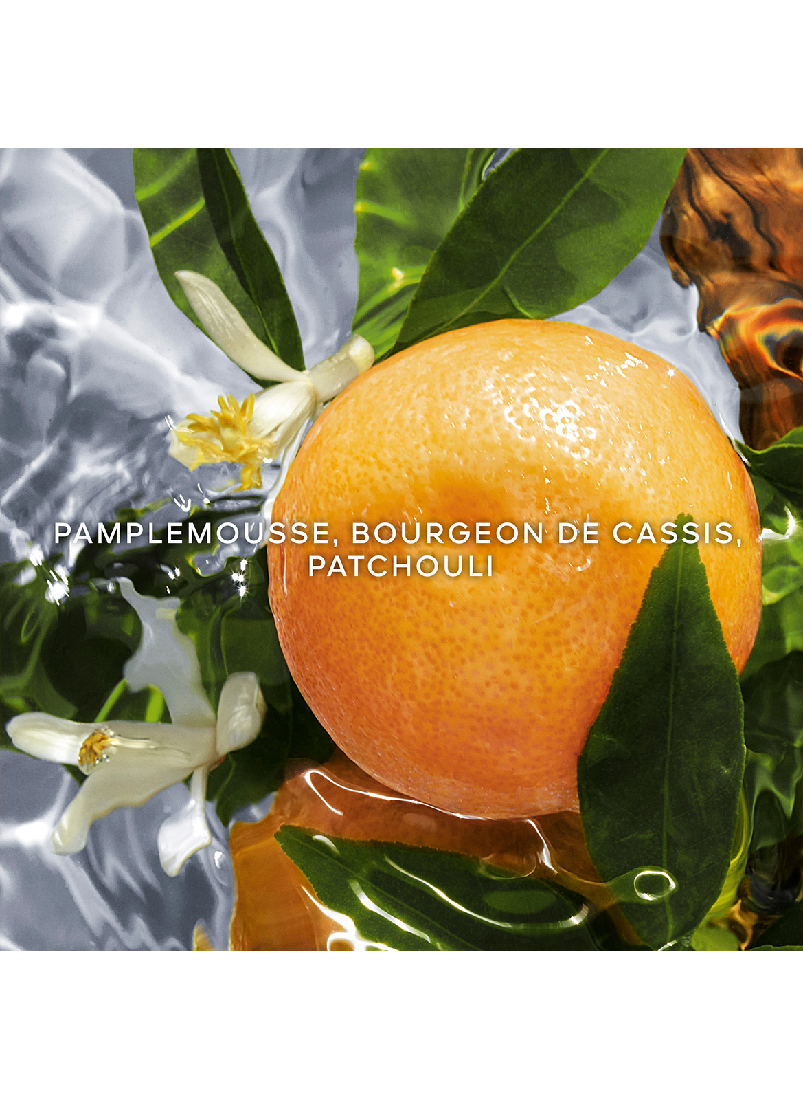 Aqua Allegoria - Pamplelune - Eau de Toilette GUERLAIN No color