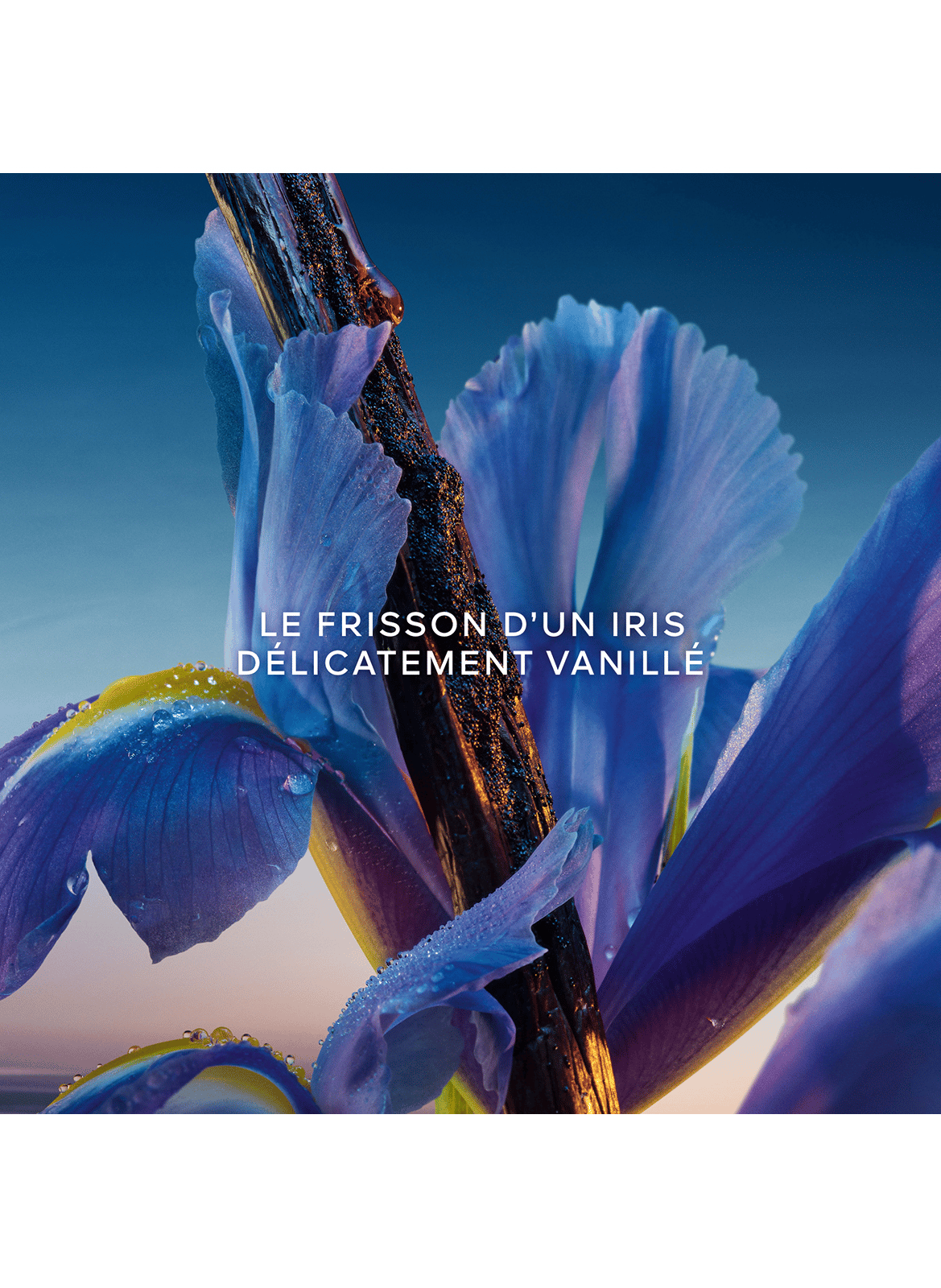 The Blue Hour - Perfumed Soap GUERLAIN No color