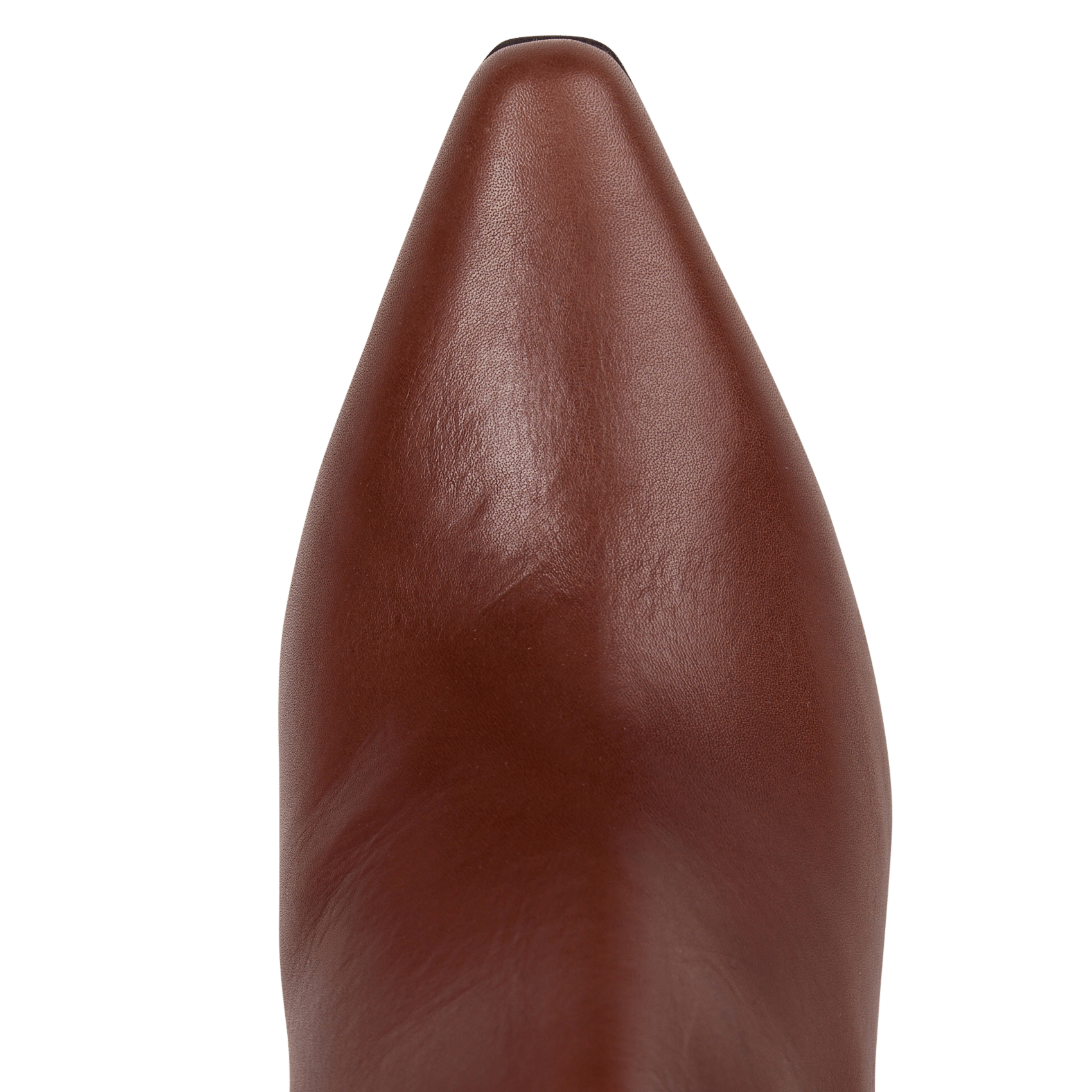 Bottines en cuir | Beige MAISON 123 Femme