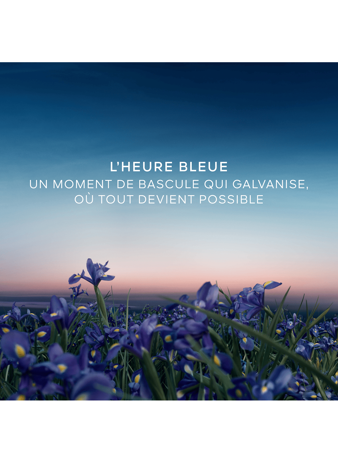 The Blue Hour - Perfumed Soap GUERLAIN No color
