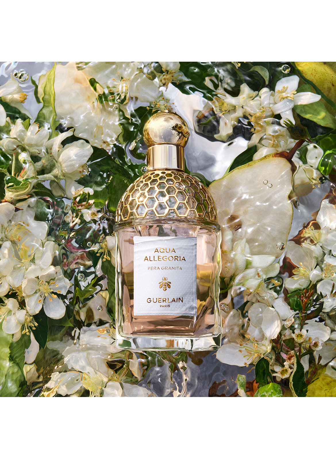 Aqua Allegoria Pera Granita No color