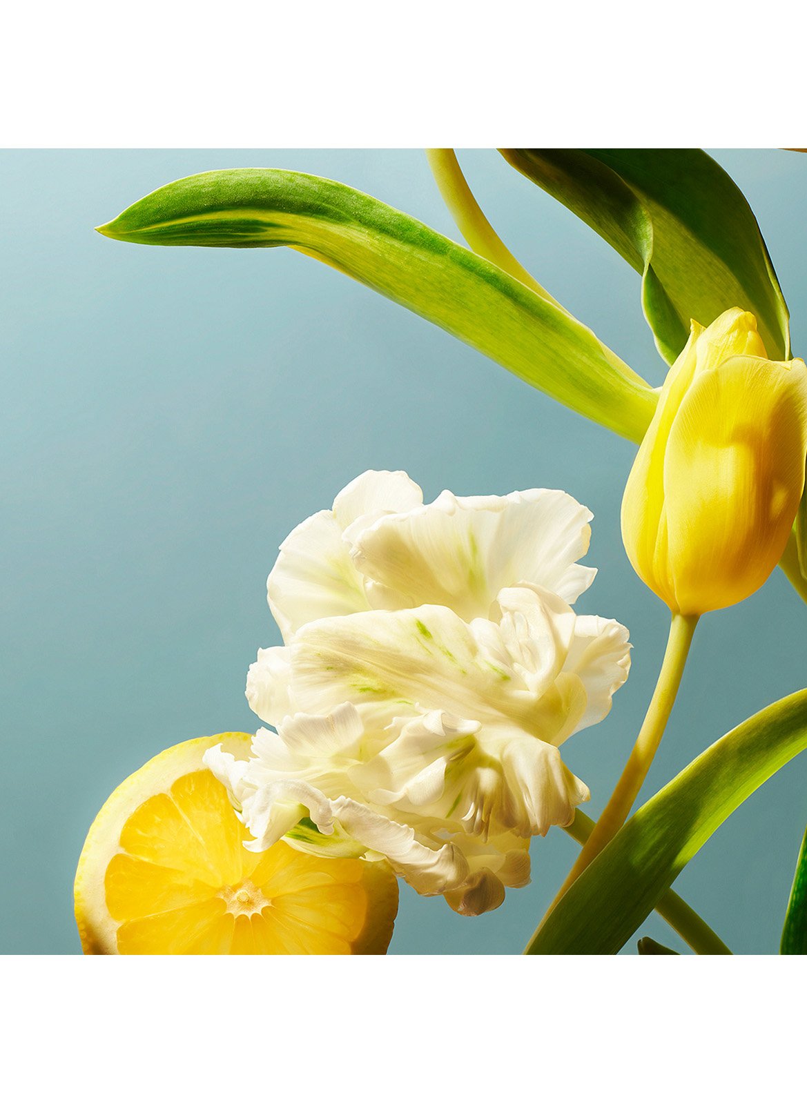 Amsterdam Collection - Body Cream RITUALS No color