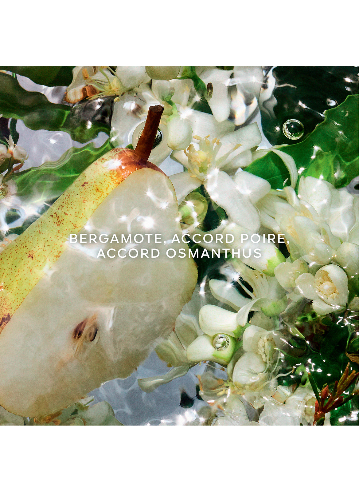 Aqua Allegoria Pera Granita No color