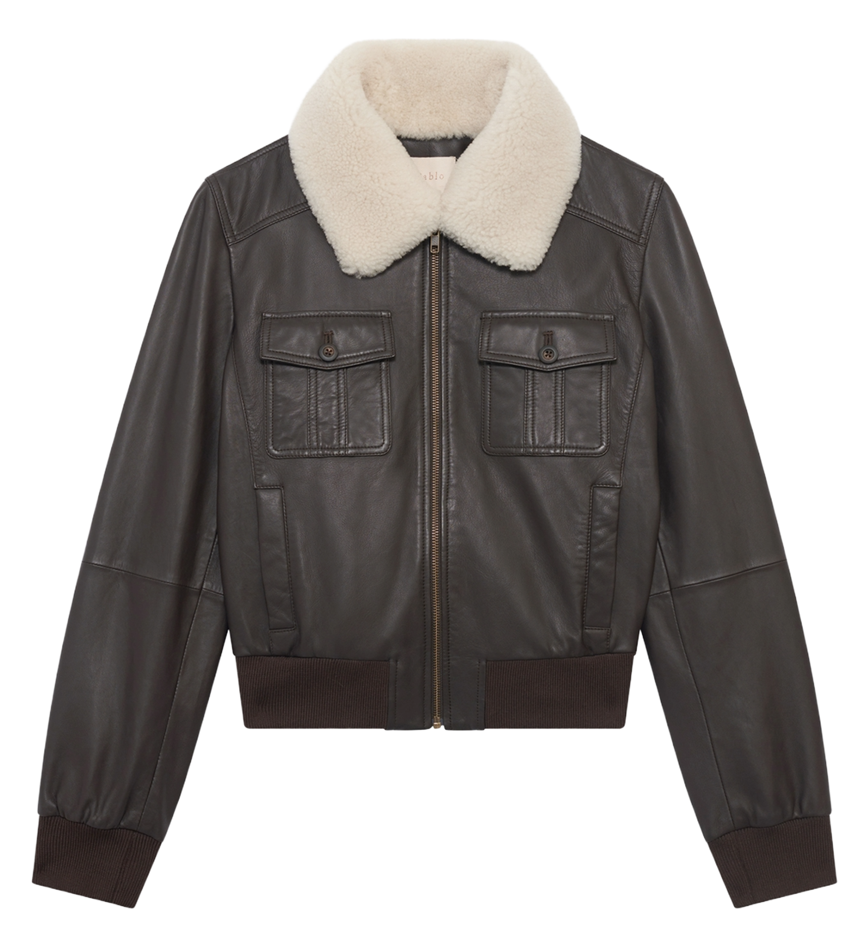 Blouson en cuir PABLO Marron