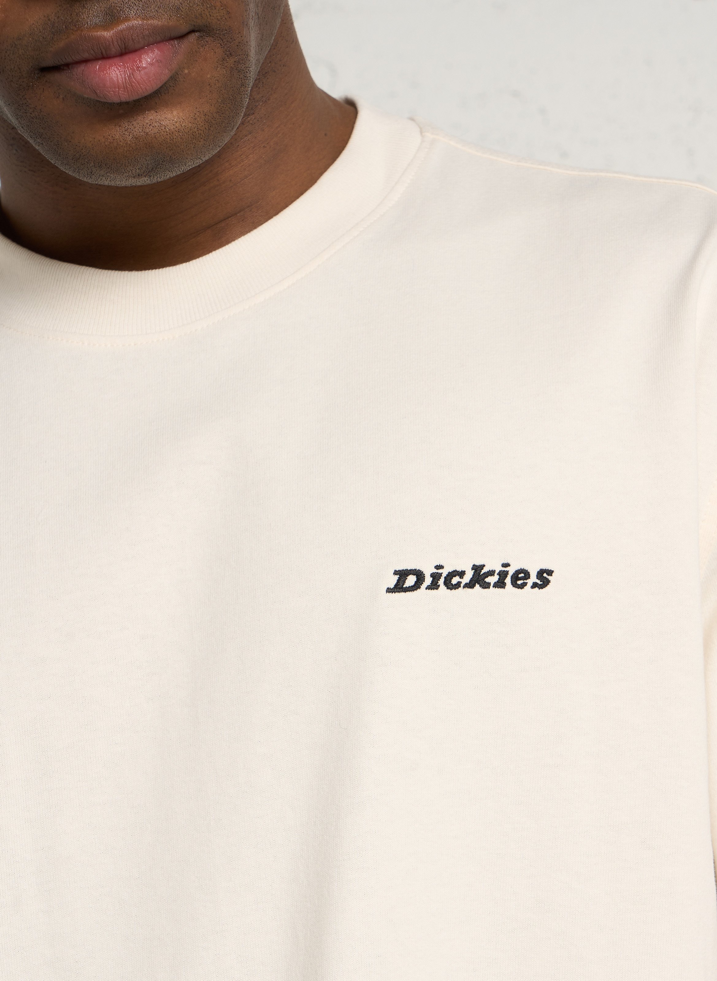 Ruimvallend, katoenen T-shirt met ronde hals en borduursel DICKIES Beige