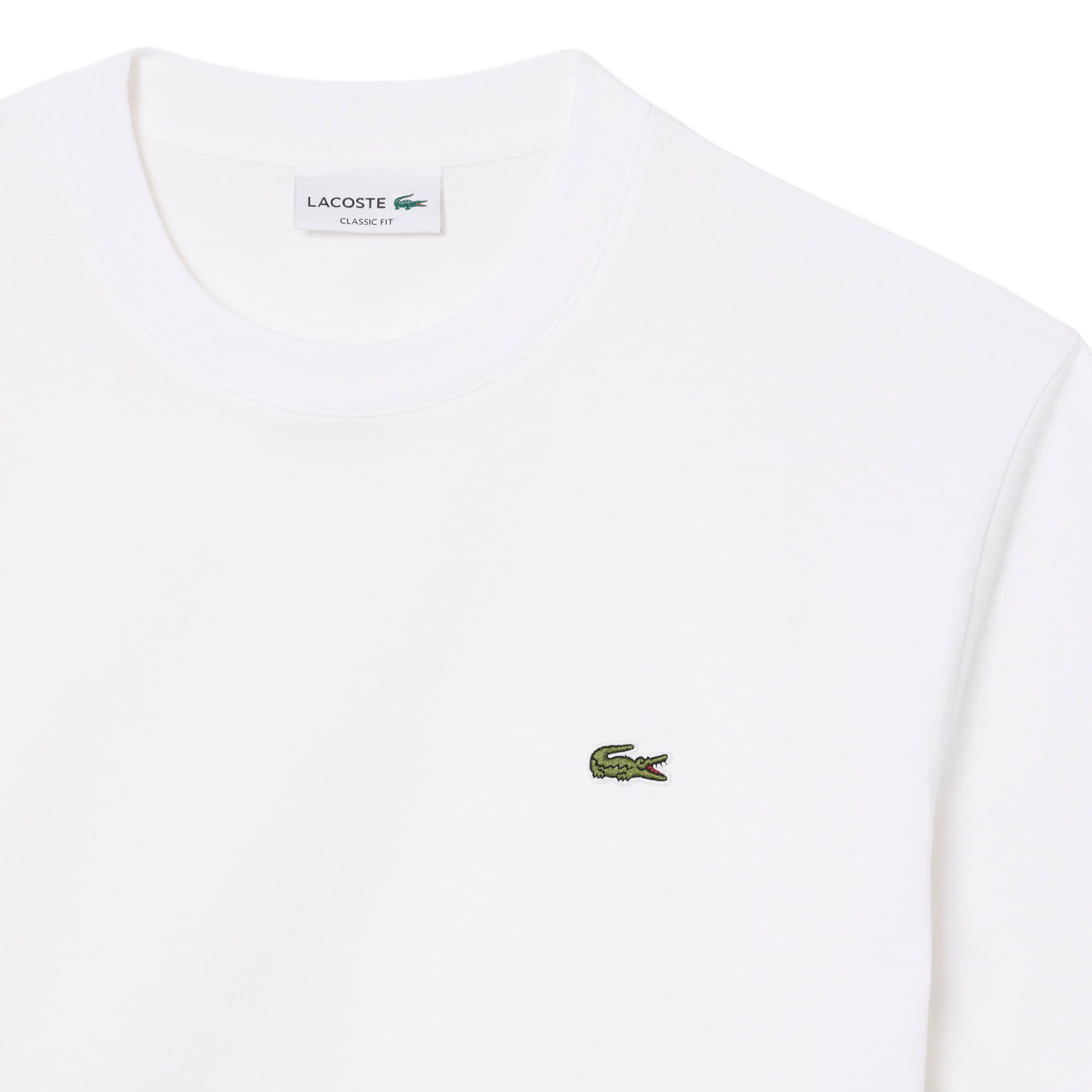 Einfarbiges T-Shirt mit Baumwolllogo LACOSTE Weiss