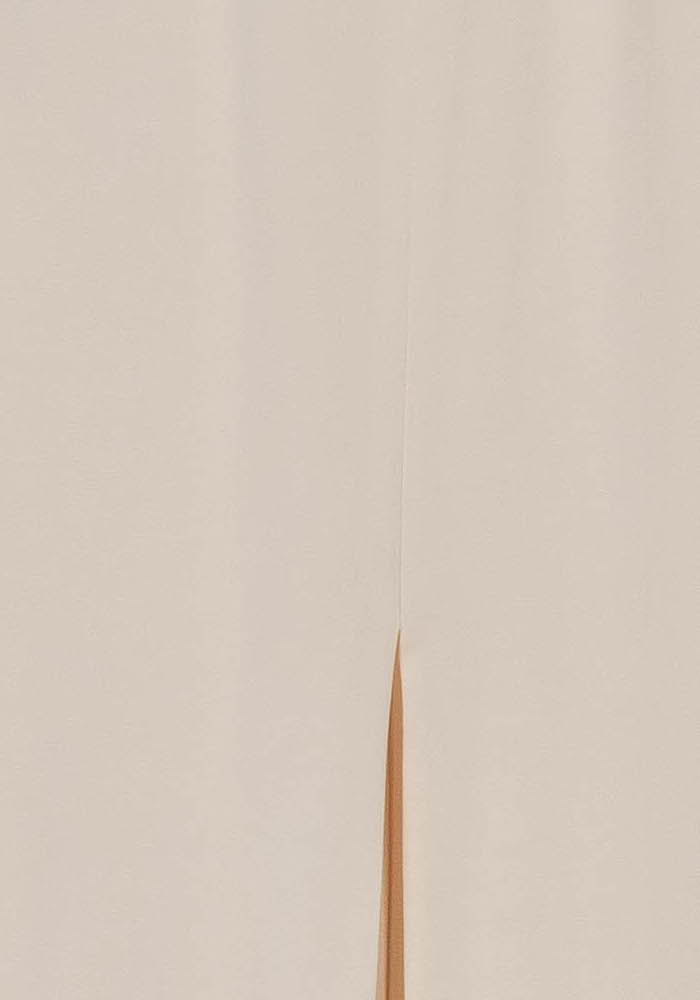 Long skirt IRO - Seconde Main Beige