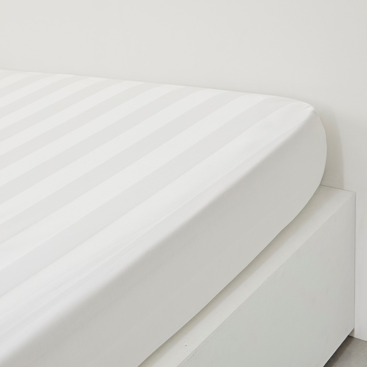 Solid color fitted sheet in cotton TODAY LINGE DE MAISON White